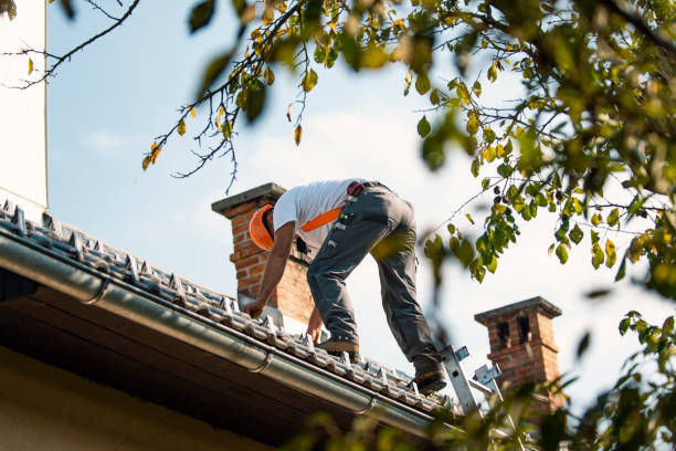 Best Sealant for Roof  in Hancock, MI