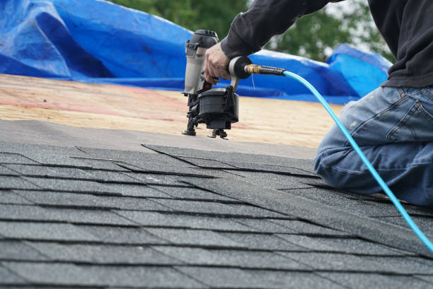 Best Roof Waterproofing Services  in Hancock, MI